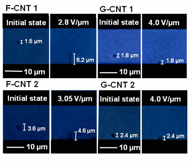 수평자기장 인가 전·후의 F-CNT와 G-CNT cluster 광학 현미경 이미지