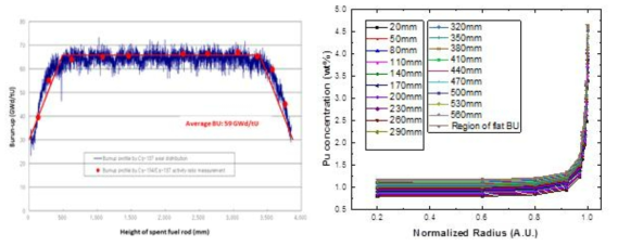 연료봉 축/반경 방향의 연소도 분포와 Pu 농도 분포