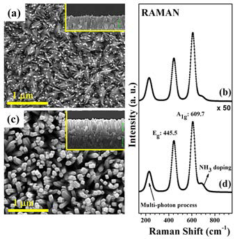 (왼쪽 패널) 시간에 따라 성장시킨 TiO2 나노막대위에 암모니아 도핑 후 얻은 SEM 이미지와 라만 스펙트럼. NTR-60 은 TiO2 나노막대를 60분 성장시킨 후 암모니아를 도핑하였다는 뜻이다