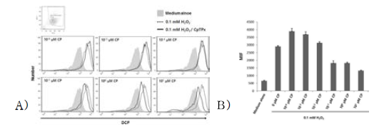세포 내로 도입된 CpTPx에 의한 H2O2 제거능력 확인