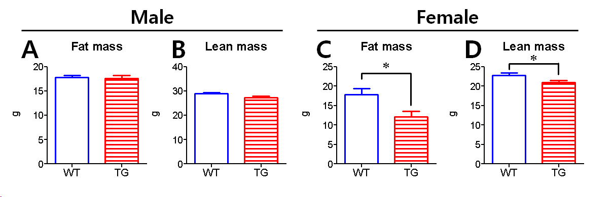 Lean/Fat analyzer 를 이용하여 체지방함량을 비교. 고지방식이 섭취 시체 지방량과 마른체중을 측정함.