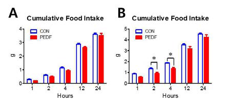 고지방식이섭취 시 시상하부-과발 현 생쥐에서 영양상태에 따른 식이섭취량 변 화.