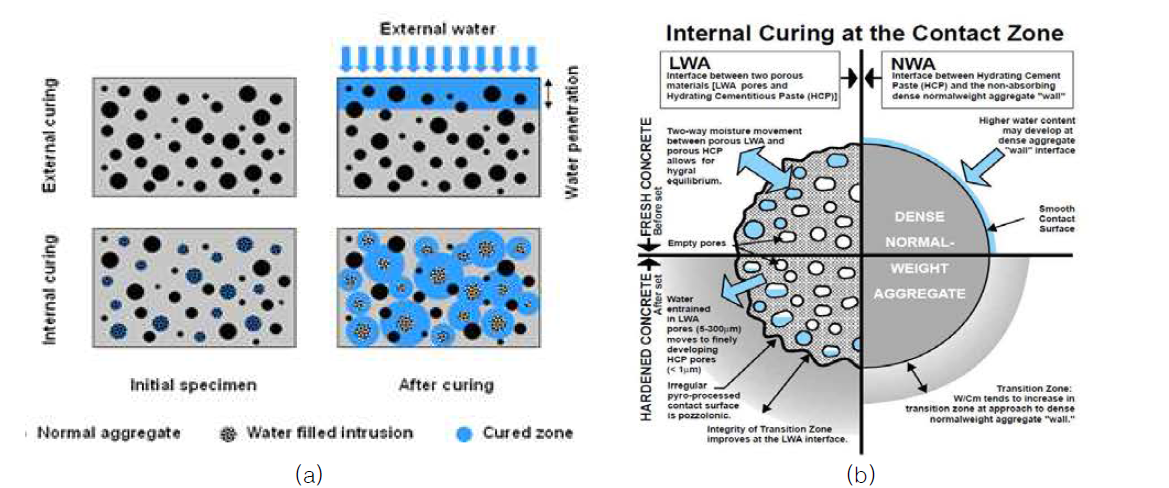 내부양생(Internal curing)의 개념도