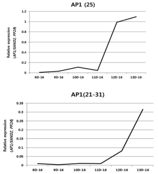 각 온도 조건에서 발 후 AP1의 발현