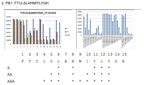 FTIP1 PB1의 peptide sequence와 Ala-walks (좌)와 truncation sequences (우)의 signal intensity