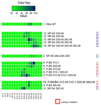 23도에서 MIR156A-LS의 개화 시기 (T3 homozygote 세대)