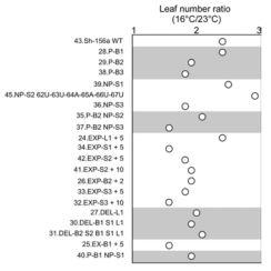 MIR156A-US의 Leaf Number Ratio