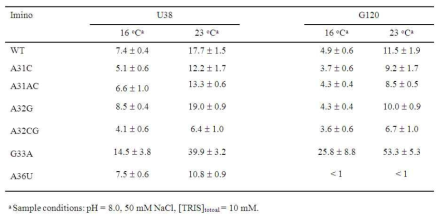 다양한 pri-miR156a의 G120과 U38 이미노수소의 kex 비교