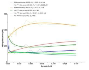 NBD가 표지된 SUV의 Fluorescence Polarization에서 FT와 BSA의 농도증가에 따른 효과