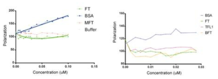PEBP family 단백질과 BSA의 농도가 증가함에 따라 NBD로 표 지된 SUV의 Fluorescence Polarization 효과