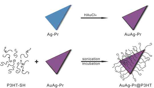 수용액과 유기용매에서도 안정한 Au/Ag-P3HT 나노복합체의 합성 모식도