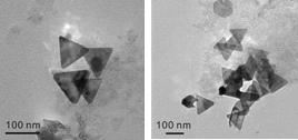 물(왼쪽)과 유기용매(오른쪽) THF 에서 안정적인 Au/Ag-P3HT 나노복합체의 전자현미경 사진.
