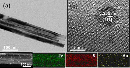 빛을 이용하여 합성한 ZnS-Au 물질의 전자현미경 사진.