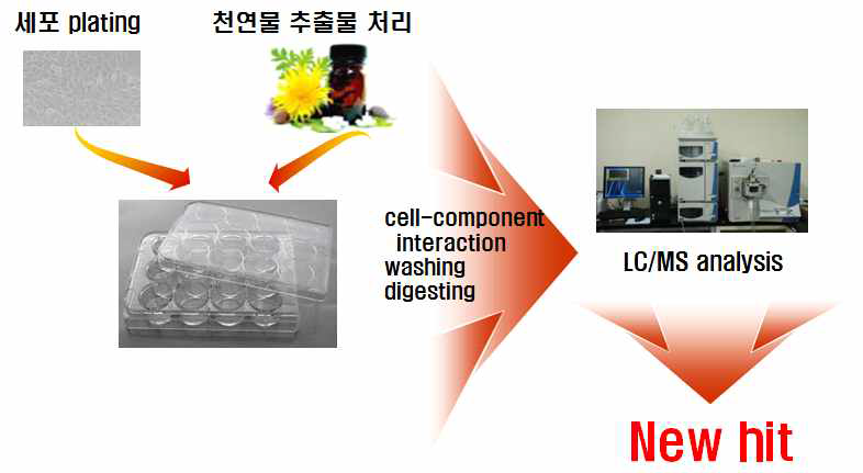 Cell extraction_LC/MS법 개발 방법