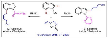 로듐 촉매 하 인돌 및 인돌린 C2,C7 위치의 알릴화기 도입연구