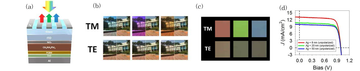 (a) 플라즈모닉 나노구조 통합 페로브스카이트 태양전지,(b) 투과 빛 제어, (c) 반사 빛 제어, (d) 다기능 페로브스카이트 태양전지 J-V curve