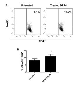 Rat spleen에서 분리하여 activation T cell 에 DPP4i를 처리하여 regulatory T cell의 발현 정도를 비교.