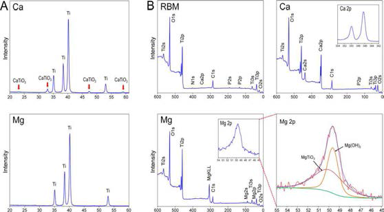 Thin-film XRD pattern (A) and XPS (B) results of investigated surfaces.