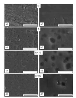 FE-SEM images of investigated surfaces