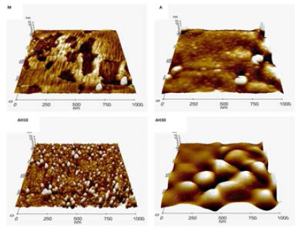 AFM images of investigated surfaces