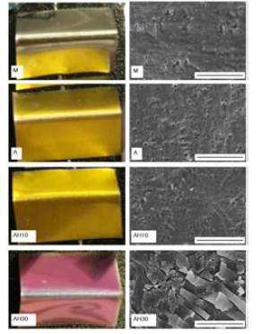 Stereoscopic and SEM images after cyclic bending test of investigated samples.