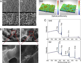 Surface morphology of sandblasted/acid-etched (SAE) and Sr-modified SM surfaces at the micro-(A) and nano-scale (B).