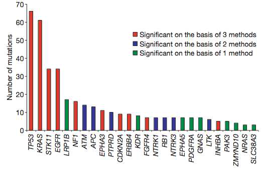 Significantly mutated genes in lung adenocarcinomas.