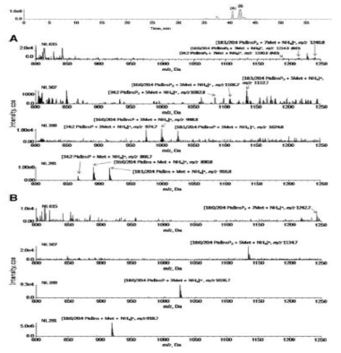(A) 인슐린으로 자극한 마우스 간에서 각각 18:1/20:4, 16:0/20:4, 그리고 34:2 지방산을 가지는 포스포이노시티드들의 질량분석 스팩트럼 (B) 인슐린으로 자극한 마우스 간에서 18:0/20:4 지방산을 가지는 포스포이노시티드들의 질량분석 스팩트럼