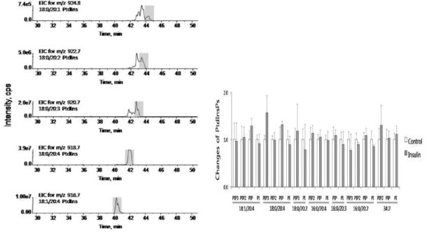 (A) 인슐린으로 자극한 마우스 간에서 서로 다른 지방산을 가지는 포스포이노시티드들의 정량을 위한 추출 크로마토그램의 일부 (B) 마우스 간에서 인슐린 자극 전,후에 따른 포스포이노시티드들의 변화