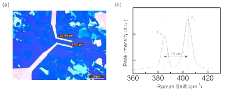 (a) Exfoliated MoS2로 제작한 TFT 소자의 OM image, (b) TFT 소자의 채널영역으로 사용된 MoS2 flake의 Raman spectrum.