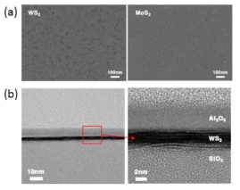 (a) Solution-based WS2와 MoS2 film 표면의 SEM image, (b) 0.0115 M 용액으로 합성된 WS2 film의 단면 TEM image