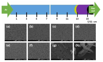 850 °C, facing-up type으로 합성한 MoS2의 위치에 따른 SEM 사진.