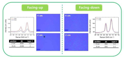 Facing-up/down CVD MoS2의 OM 및 Raman 스펙트럼.