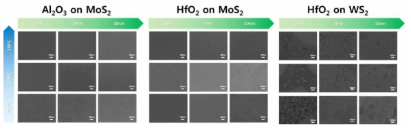 SEM으로 관찰한 solution-based MoS2, WS2 상에서의 ALD-Al2O3와 ALD-HfO2 증착 특성.