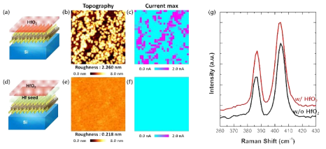 Hf metal treatment 실험 결과. (a, d) 제작된 sample의 모식도, (b, e) AFM을통해 측정한 Topography 이미지, (c, f) C-AFM을 통해 측정한 Current max값의 spatial map, (g) Monolayer에서 측정한 HfO2 film 증착 전후에 Raman spectrum.