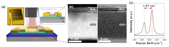 (a) MoS2/a-IGZO phototransistor 소자 사진과 모식도, (b) MoS2/a-IGZO 접합구조의 (left) STEM-HAADF와 (right) HRTEM 이미지, (c) MoS2/a-IGZO film의 Raman spectra.