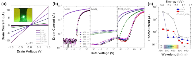 (a) MoS2/a-IGZO phototransistor의 Id-Vd 그래프, (b) a-IGZO, MoS2, MoS2/a-IGZO 각각의 transfer curve, (c) photocurrent 특성.