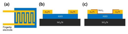 (a) Gas sensor 전극 평면도, (b) IGZO gas sensor 단면도, (c) MoS2/IGZO gas sensor 단면도