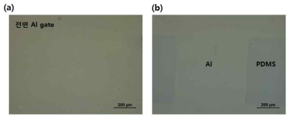 Strechable PDMS 기판에 Al gate 전극 후 OM 사진