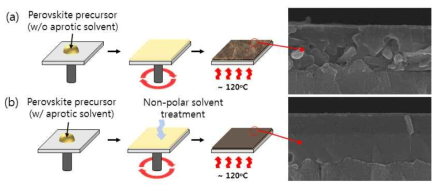 (a) 일반적인 페로브스카이트 전구체 용액 스핀 코팅 공정 모식도 및 불균일한 단면 SEM 이미지, (b)극성 비양자성 용매를 사용해 중간상 형성 및 무극성 처리 공정의 모식도 및 그로 인해 제작된 페로브스카이트 박막 단면 SEM 이미지