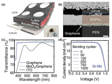 초박형 PEN/Graphene/MoO3 투명전극/Passive 박막 기판을 이용하여 제작한 유연 페로브스카이트 (a) 모식도 및 (b) 단면 SEM 이미지, (c) 하부 기판의 광 투과도 측정 결과 및 (d) 굽힘에 따른 (0~ 1000회) 태양전지 효율 변화를 확인 할 수 있는 J-V 곡선