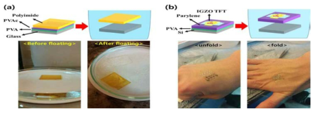 (a) Polyimide 기판의 Floating 공정 기술 (b) Floating 공정을 적용한 Parylene 기판위의 TFT소자 peeling 기술