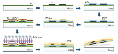 Flexible polyimide 기판상에 제작된 IGZO기반 photo sensor 공정과정