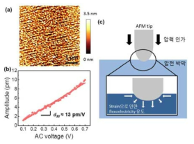 (a) PZT박막의 AFM 표면 이미지. (b) 교류전압에 따른 압전진폭 그래프. (c) AFM 팁을 통한 flexoelectricity 유도 모식도