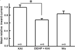 DEHP가 kainate 반응성에 미치는 영향.