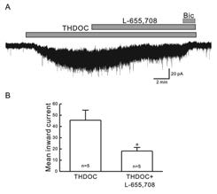 THDOC 효과에 미치는 TCDD 효과 및 L-655,708 반응