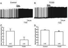 Kisspeptin 반응성에 미치는 TCDD 효과