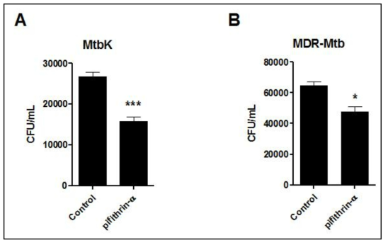 큰포식세포에 고병원성 Mtbk균주와 MDR-tb strain 감염에 있어 pifithin-a와 tenovin-1효능 확인