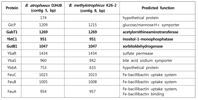 B. atrophaeus DJHJ8 및 B. methylotrophicus K26-2의 전체 게놈 내에 존재하는 DNJ 생합성 유전자 군 및 인접 유전자 발굴 결과
