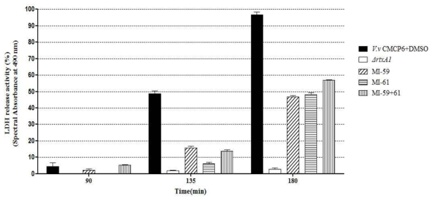 Effect of MI-59, MI-61 and mixed treatment on virulence of V. vulnificus toward HeLa cell. HeLa cells were infected with the V. vulnificus CMCP6 under present condition of DMSO or small molecules, or V. vulnificus rtxA1 mutant at MOI 20.